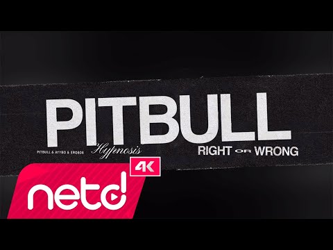 Pitbull x AYYBO x ero808 - RIGHT OR WRONG (HYPNOSIS)