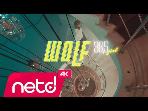 Wolf - 36.5 Girls