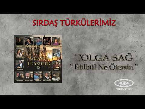 Tolga Sağ - Bülbül Ne Ötersin (Official Audio) / SIRDAŞ TÜRKÜLERİMİZ / 🎶