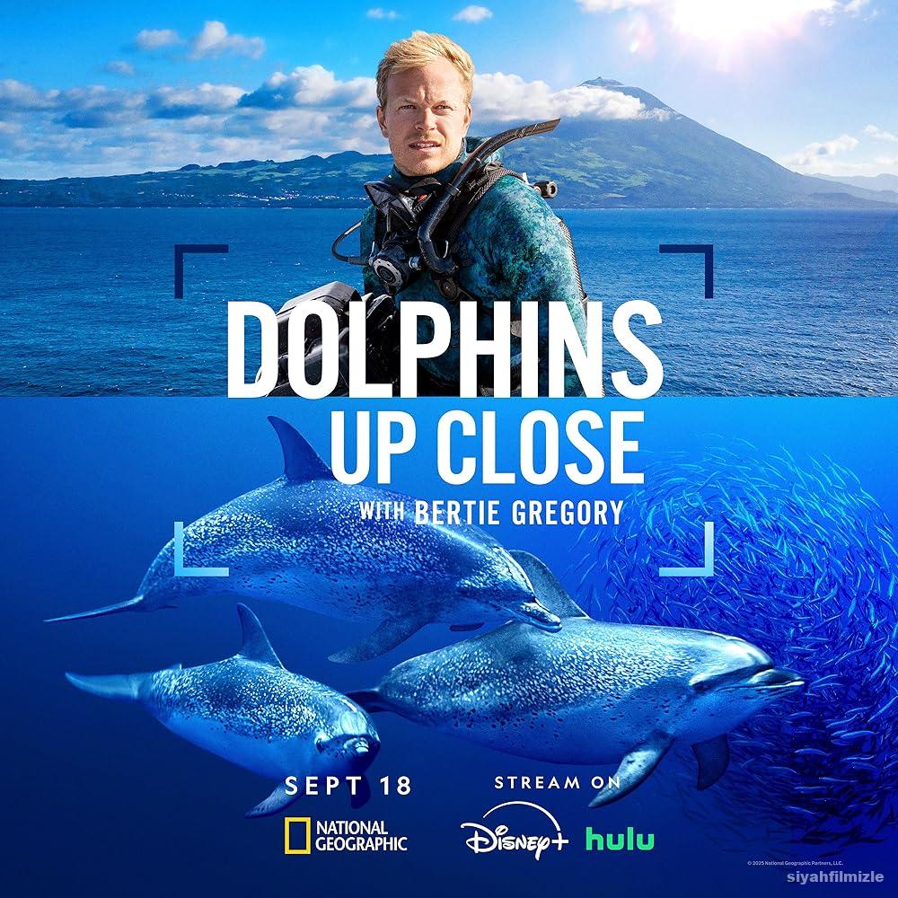 Dolphins Up Close With Bertie Gregory Izle 3