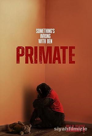 Primat Izle