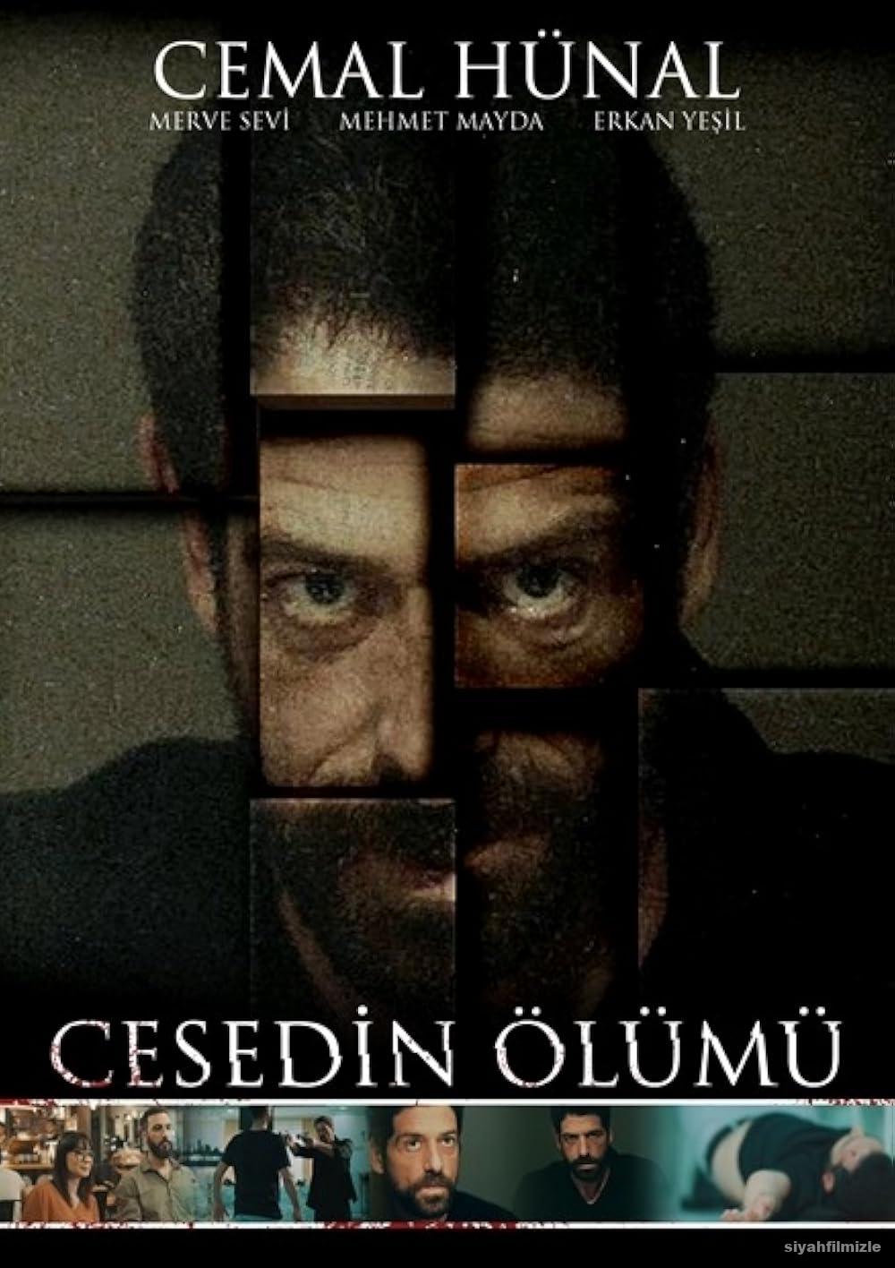 Cesedin Olumu 2019